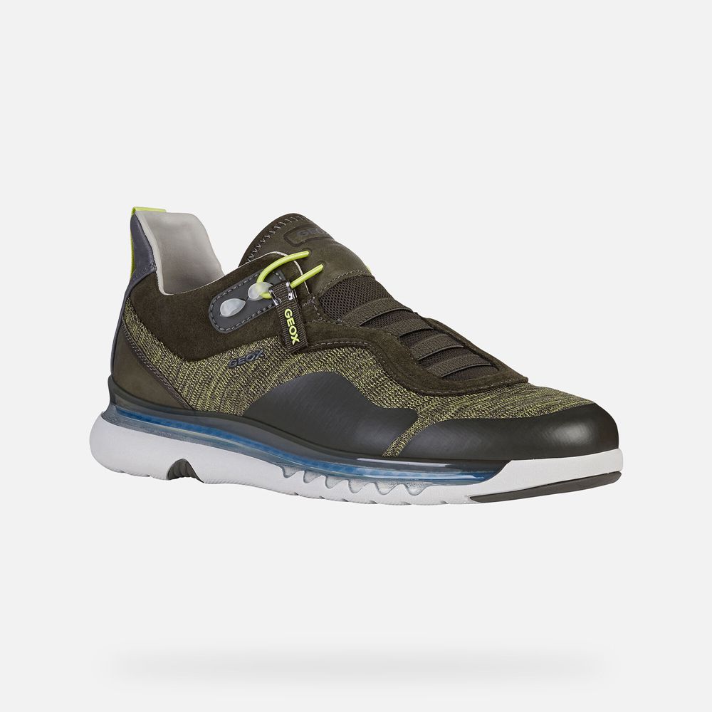 Basket Geox Levita - Vert Olive - Homme 241809-WSC